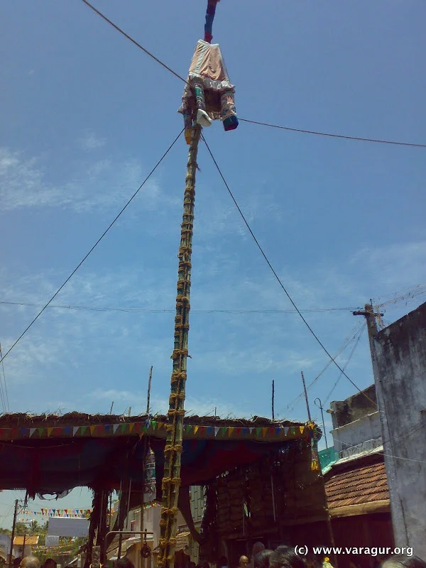 The Uriyadi pot suspended during the festival