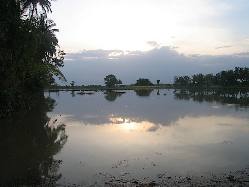 The paddy fields and tank at Varagur
